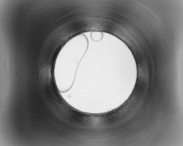 X0000094930302200711291006