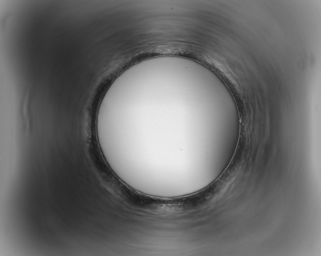 X0000094930303200711291006
