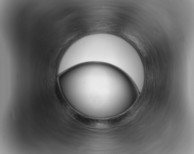 X0000094930308200711291006