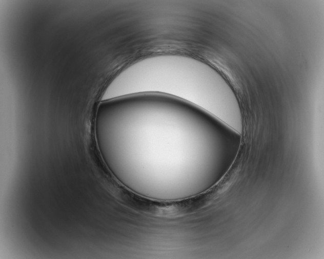X0000094930309200711291006