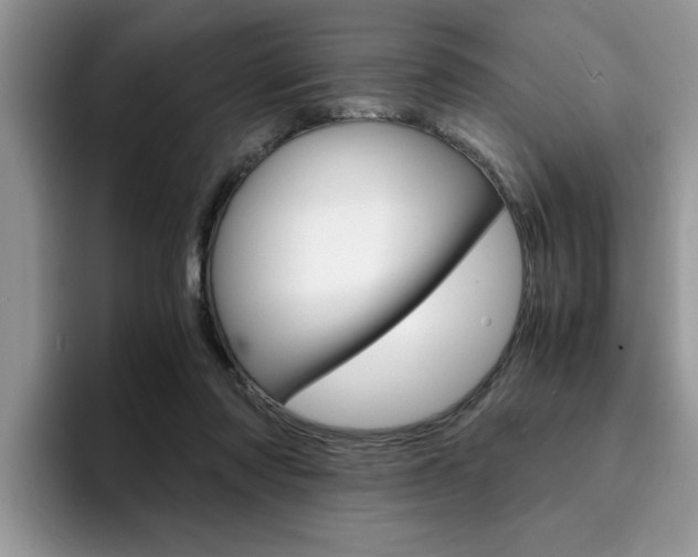 X0000094930310200711291006