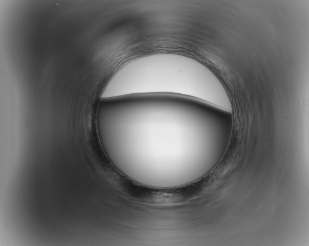 X0000094930315200711291006
