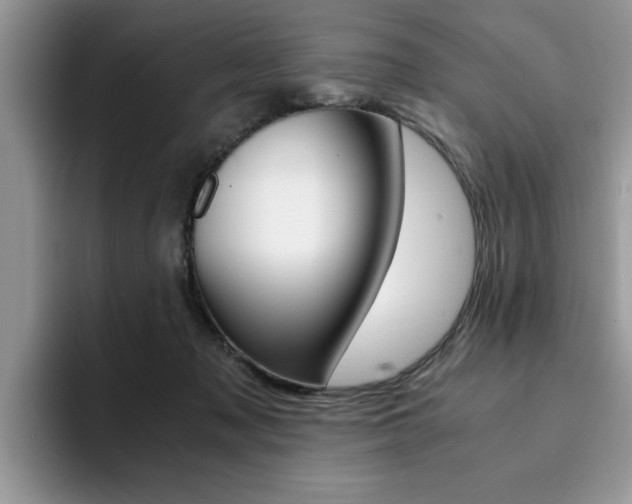 X0000094930317200711291006