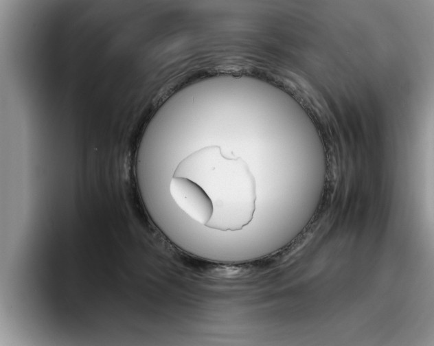 X0000094930326200711291006