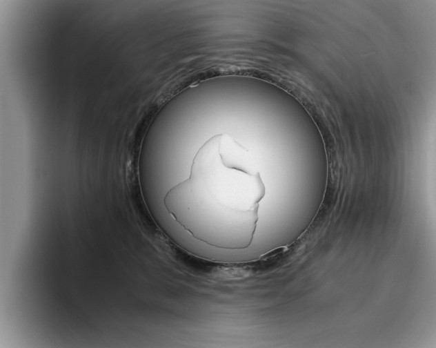 X0000094930327200711291006