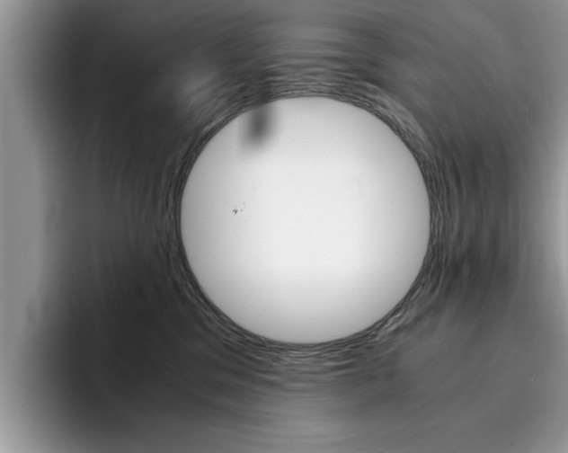 X0000094930329200711291006