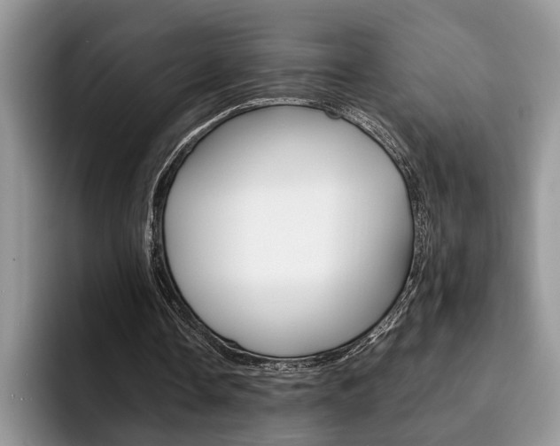 X0000094930338200711291005
