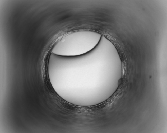 X0000094930339200711291005