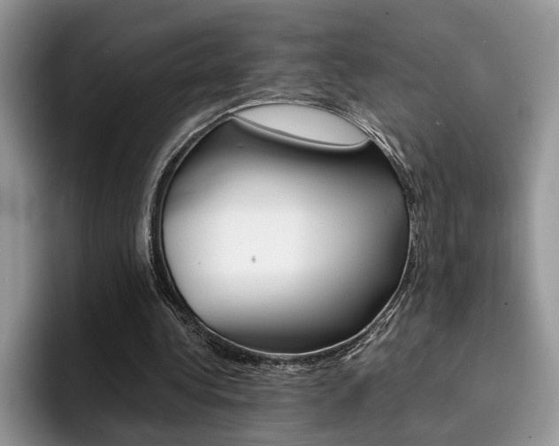 X0000094930340200711291005
