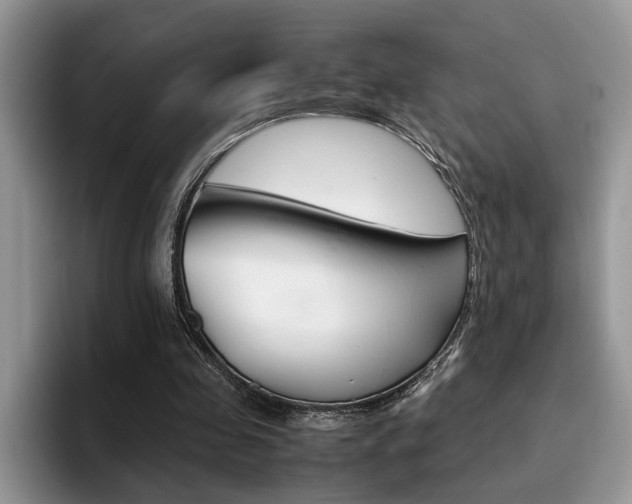 X0000094930341200711291005