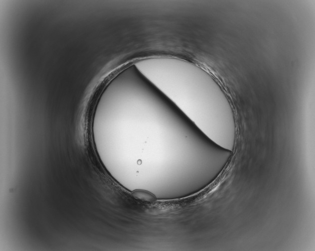 X0000094930343200711291005