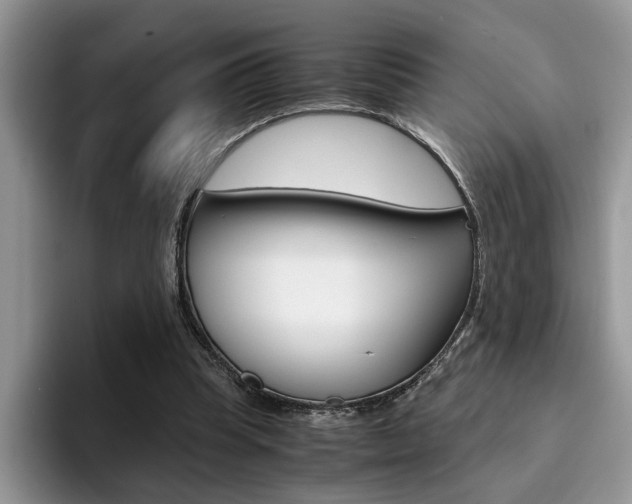 X0000094930345200711291005