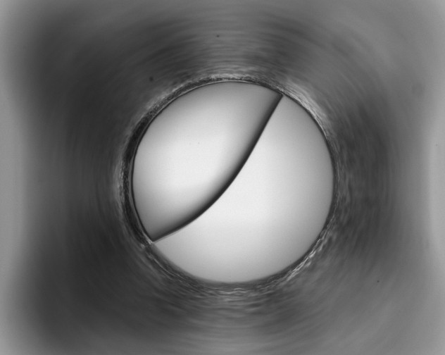 X0000094930346200711291005