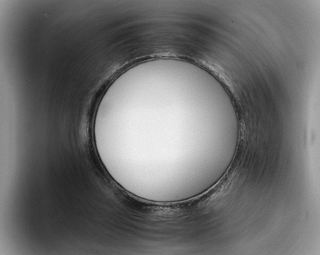 X0000094930347200711291005