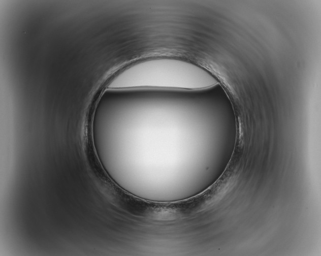 X0000094930348200711291005
