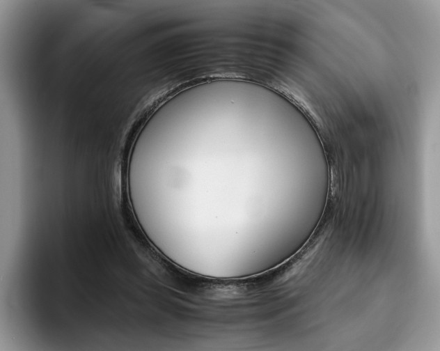 X0000094930349200711291005