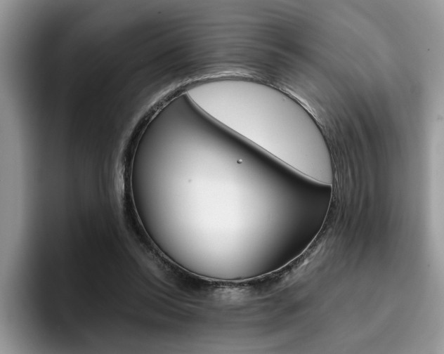 X0000094930350200711291005