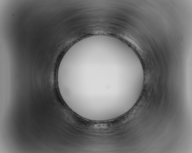 X0000094930353200711291005