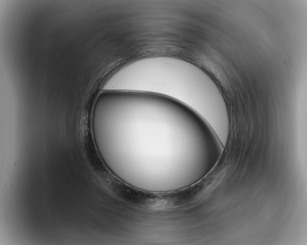 X0000094930356200711291005