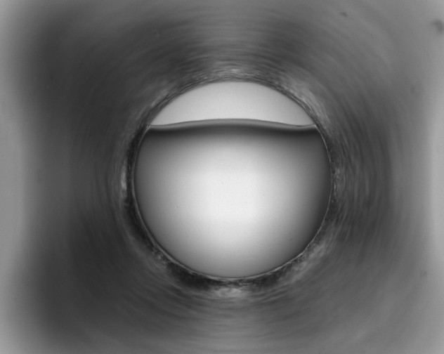 X0000094930358200711291005