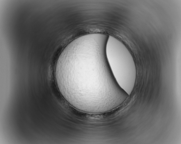 X0000094930359200711291006