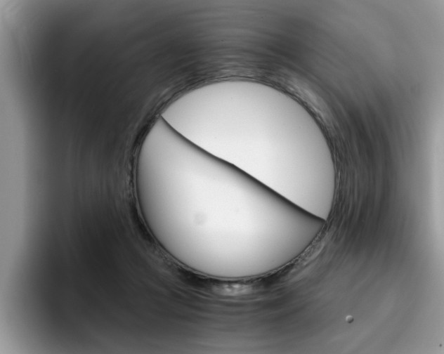 X0000094930361200711291006