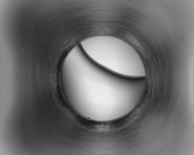 X0000094930362200711291006