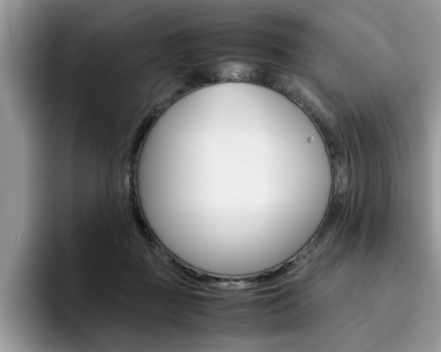 X0000094930363200711291006