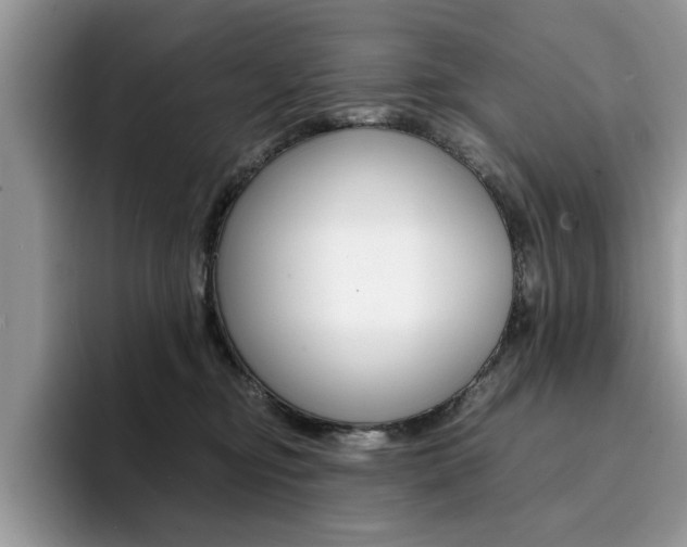 X0000094930374200711291006