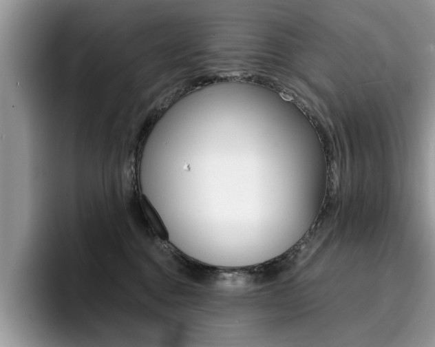 X0000094930376200711291006