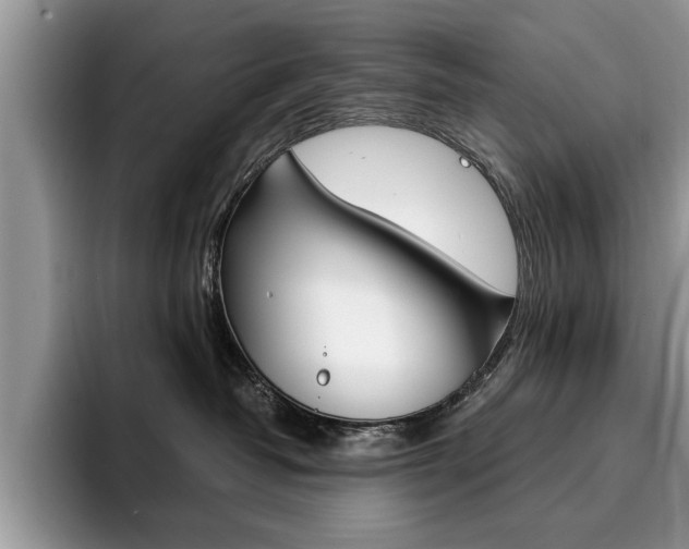 X0000094930382200711291006