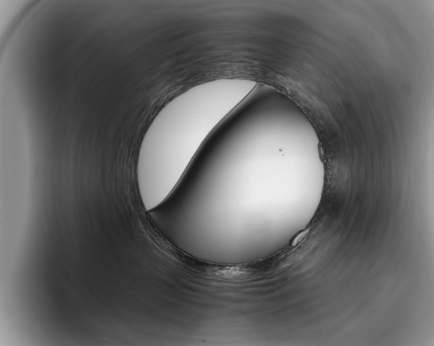 X0000094930383200711291006