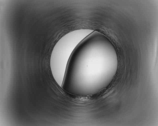 X0000094930384200711291006