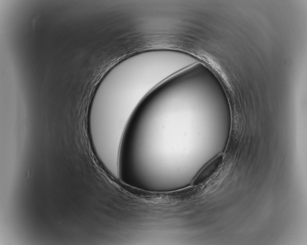 X0000094930385200711291005