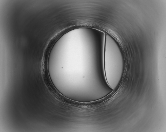 X0000094930388200711291005