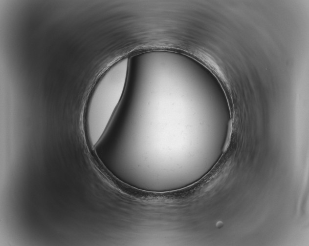 X0000094930389200711291005