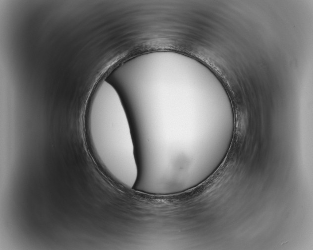 X0000094930390200711291005