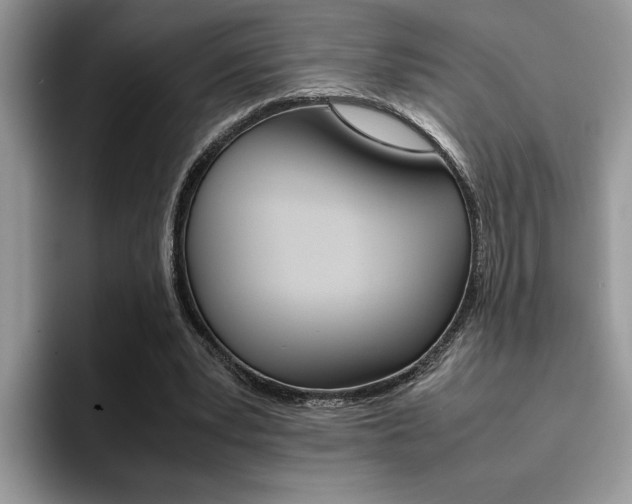 X0000094930391200711291005