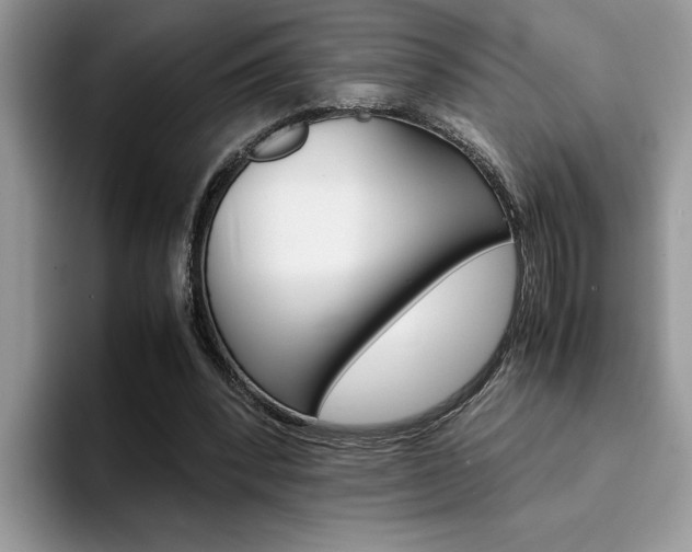 X0000094930392200711291005