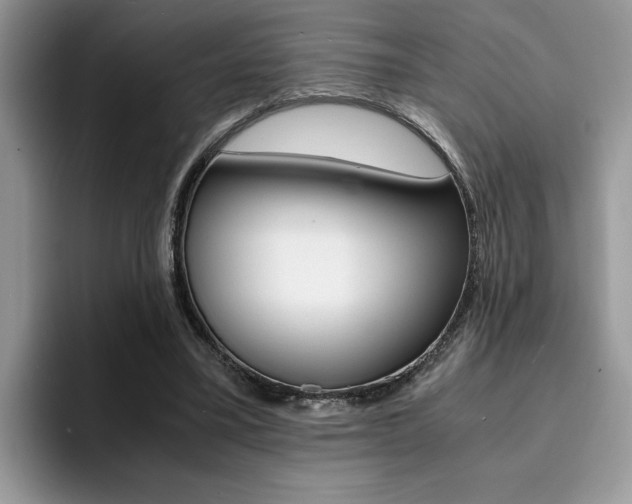 X0000094930395200711291005