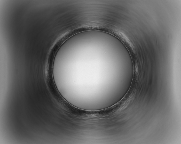 X0000094930396200711291005