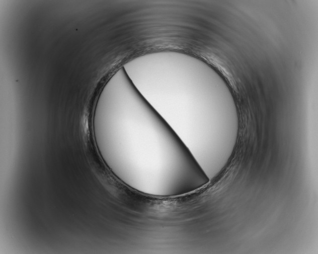X0000094930398200711291005