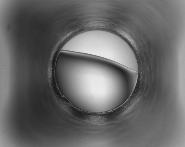 X0000094930399200711291005