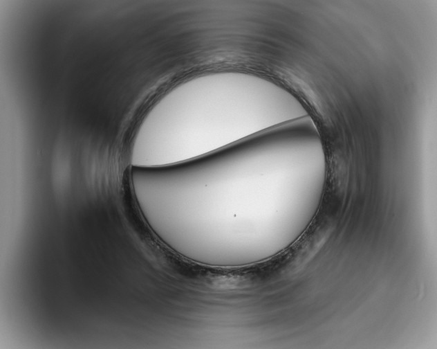 X0000094930400200711291005