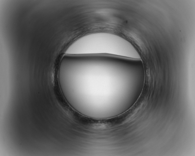 X0000094930404200711291005