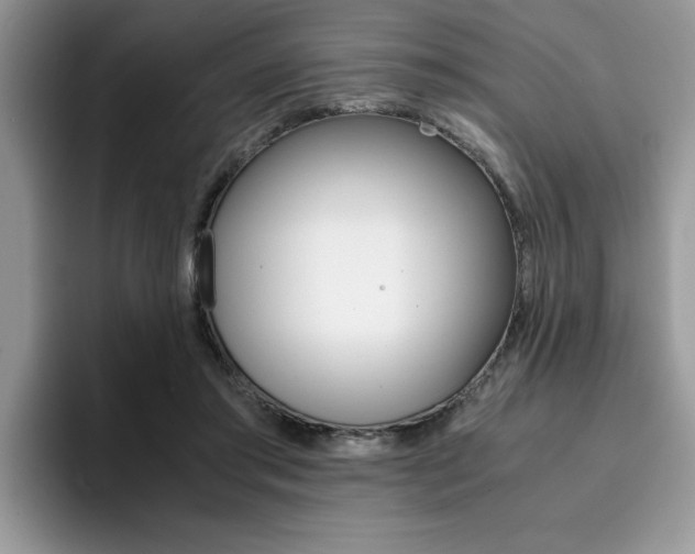 X0000094930405200711291005