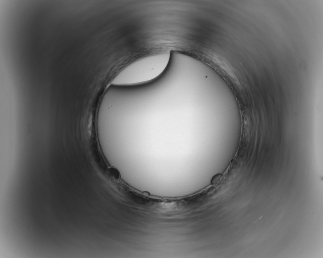 X0000094930406200711291005
