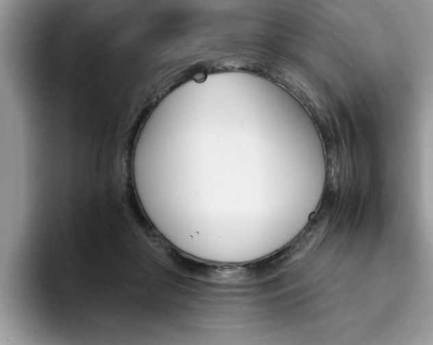 X0000094930410200711291005