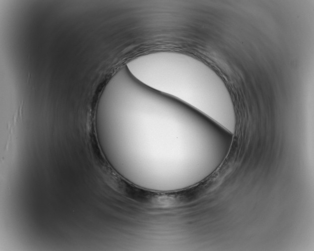 X0000094930413200711291005