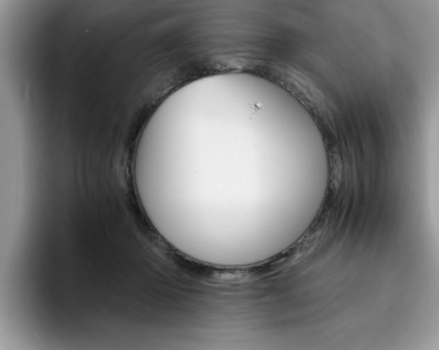 X0000094930414200711291005